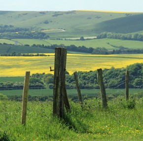 Yoga Holiday in East Sussex